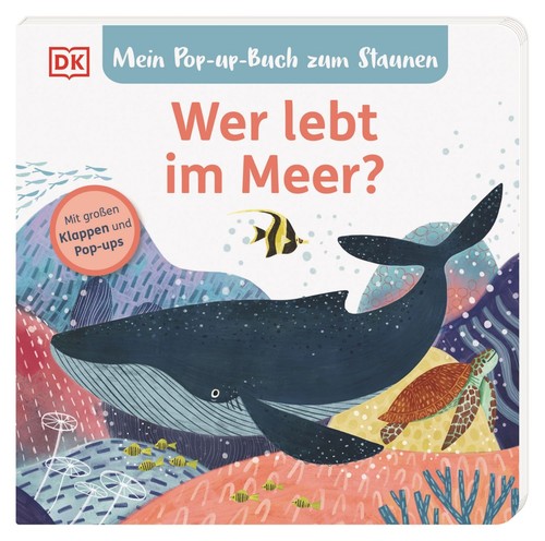 Mein pop buch - pop-up-buch, staunen
