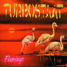Turbostaat - Flamingo