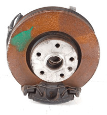 Aufsteigender Sosp. Ameise