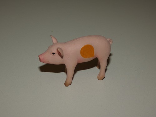 Tiptoi tier schwein ferkel - tiptoi,
