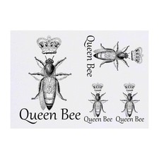 4 x "Bienenkönigin"