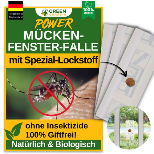 Bis fallen fenster - bis, 9x
