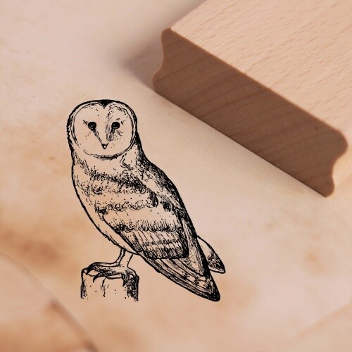 Motivstempel schleiereule auf - schleiereule,