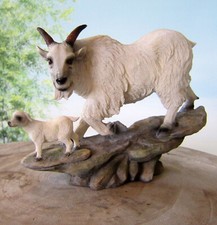 Ziege Bergziege mit Junges H