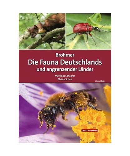 Brohmer die fauna - -,