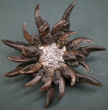 HUTANSTECKER FASANKRALLENSTERN