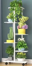 Pflanzen blumen regal - -,