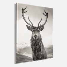 Wandbild HIRSCH 46x61 cm –