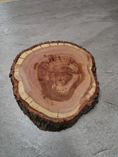 Holzscheibe Pflaume Zwetschge