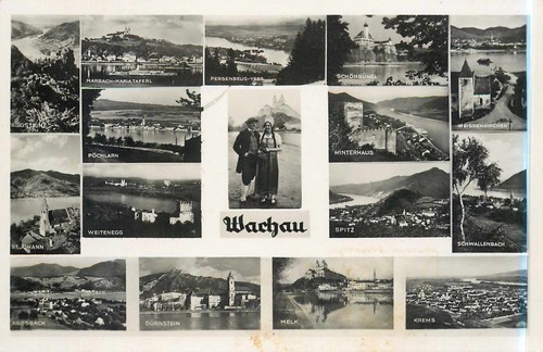 Wachau - ak,