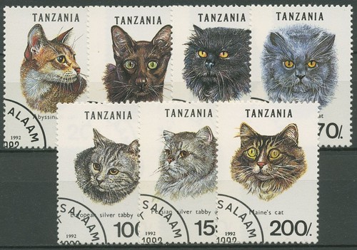 Tansania 1992 katzen perser - tansania,