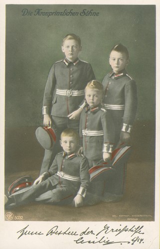 Söhne von kronprinz wilhelm - von,