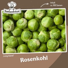 Long Island Rosenkohl ca. 100 Samen - frühe Sorte mit großen Röschen