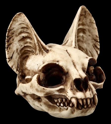 Totenkopf katze bastet - katze,