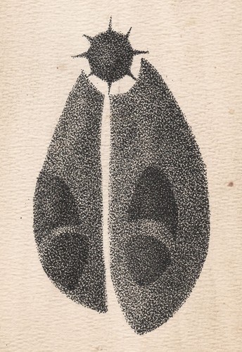 Art brut outsider - brut, /