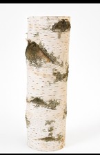 Gereinigter Birkenstamm Birkenstämme holz DIY 30cm Ø 8-10cm
