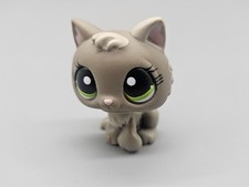 KITTEN CAT - Authentic