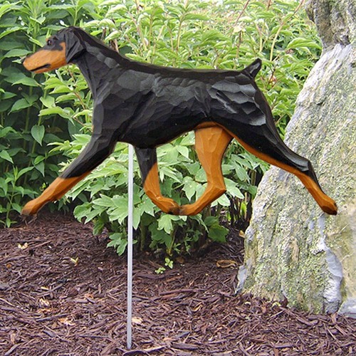 Dobermann pinscher außen - dobermann,