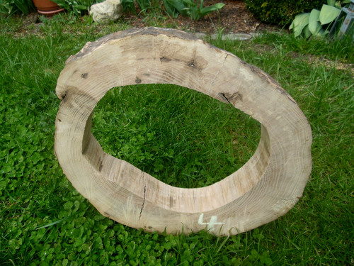 Baumscheibe astscheibe ring - baumscheibe,