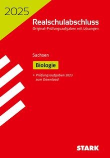 Stark - stark, (abschlussprüfungen)