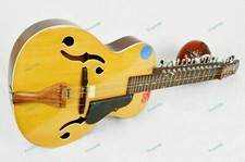 Eigener Mohan Veena Großartiges Seite Weissenborn Stil Max Saiten Druck