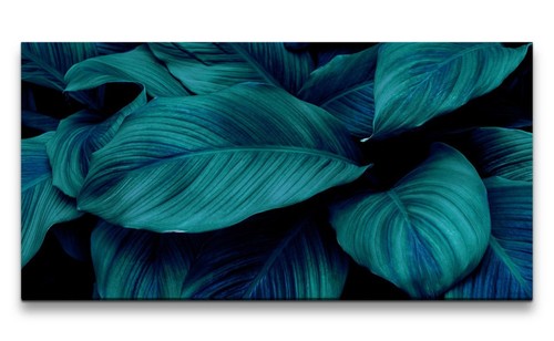 120x60cm leinwandbild grüne - 120x60cm,