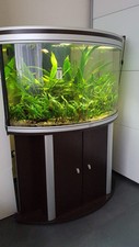 Aquarium 200 liter