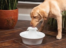 PetSafe Trinkbrunnen Avalon