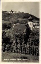 Ak Wien 19 Döbling Grinzing