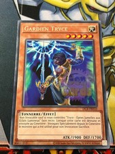 Guardian tryce karte - yu,