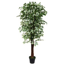 Ficus benjamin kunstpflanze - ficus,