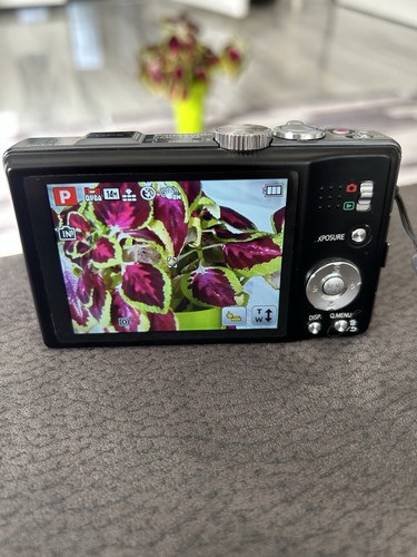 Panasonic lumix dmc - dmc-tz22, 14.1