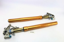 Öhlins für Aprilia Tuono V4
