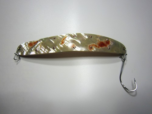 Blinker spange abalone - xl, blinker,
