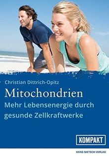 Mitochondrien mehr - mitochondrien:,