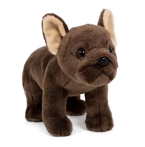 Französische bulldogge - französische,