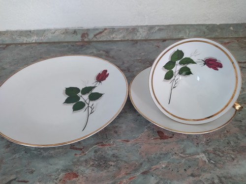 Tgl sammeltasse gedeck - ,