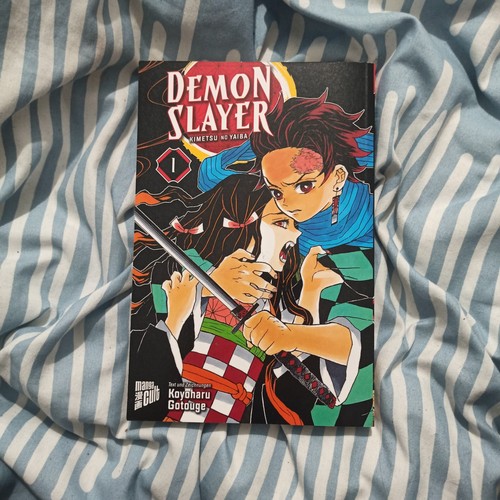 Demon slayer kimetsu - slayer,