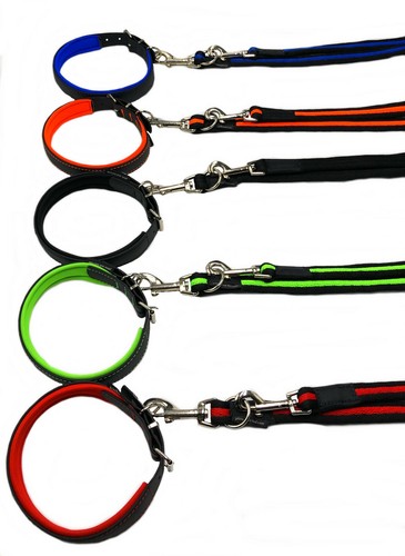 Hundehalsband hundeleine - hundehalsband,