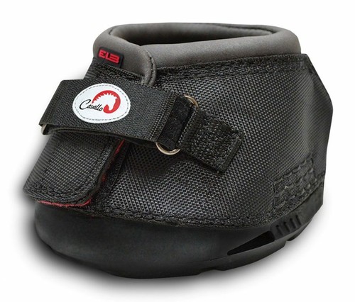 Cavallo einstiegsstufe - cavallo,