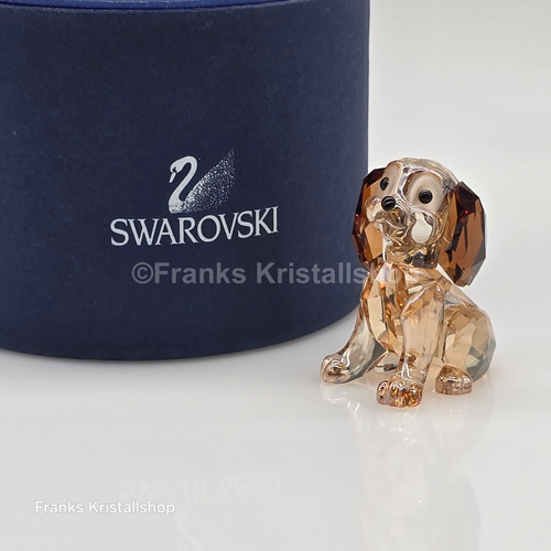 Swarovski disney danielle - disney,