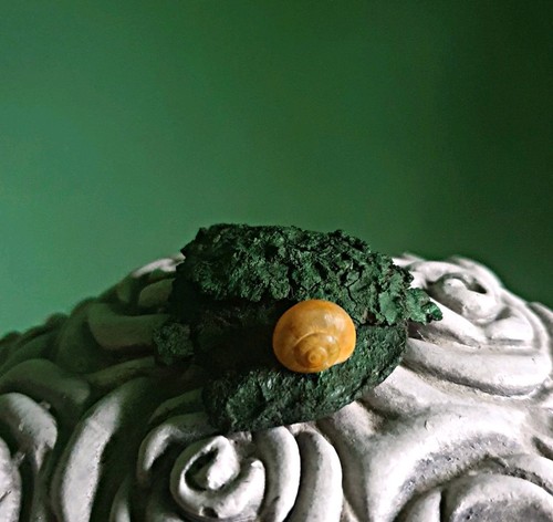 Aquarium schmuck deko - /schmuck,