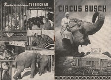 CIRCUS BUSCH - Programmheft