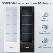 Hochschrank Vitrinenschrank