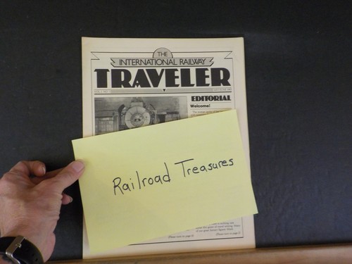 International railway traveler - international,