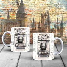 Wizarding World - Harry