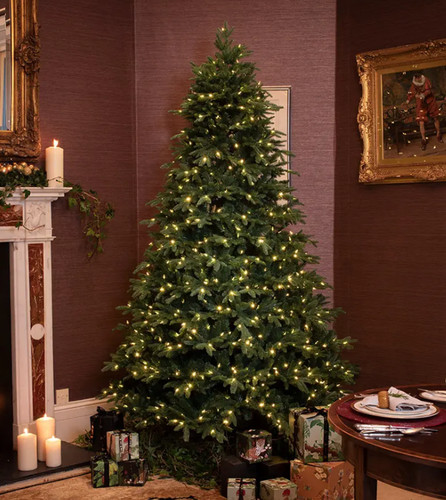 Weihnachtsbaum vorbeleuchtet
