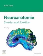 Neuroanatomie: Struktur und
