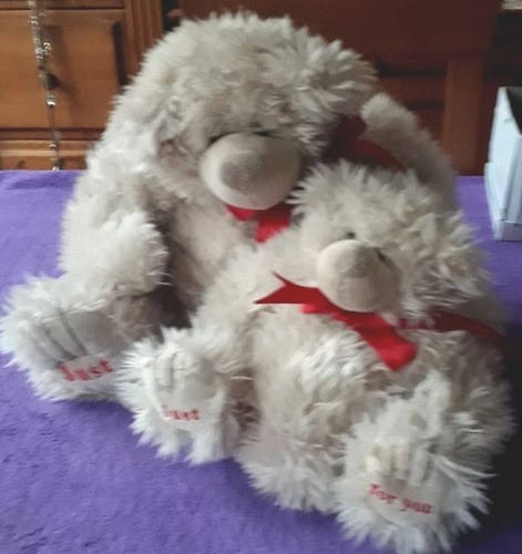 Douglas bär teddybär - douglas,