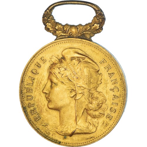 Frankreich medaille comice - frankreich,, medaille,